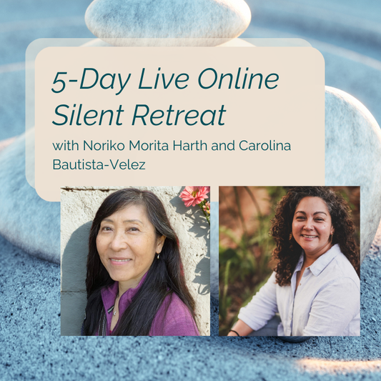 November 11 - 16, 2026  | 5-day Live Online Silent Retreat with Noriko Morita Harth and Carolina Bautista‑Velez