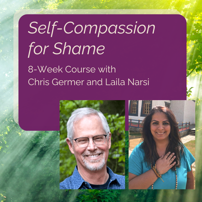 October 21, Wednesdays 9-11:30am PT, Self-Compassion for Shame 8 Week Course