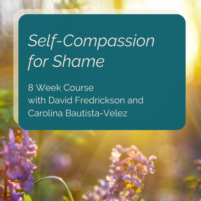 August 4, Mondays 9-11:30am PT, Self-Compassion for Shame 8 Week Course
