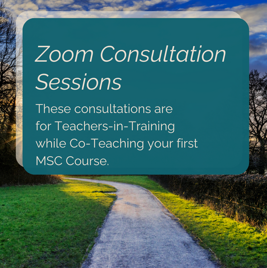 Zoom Consultation Sessions