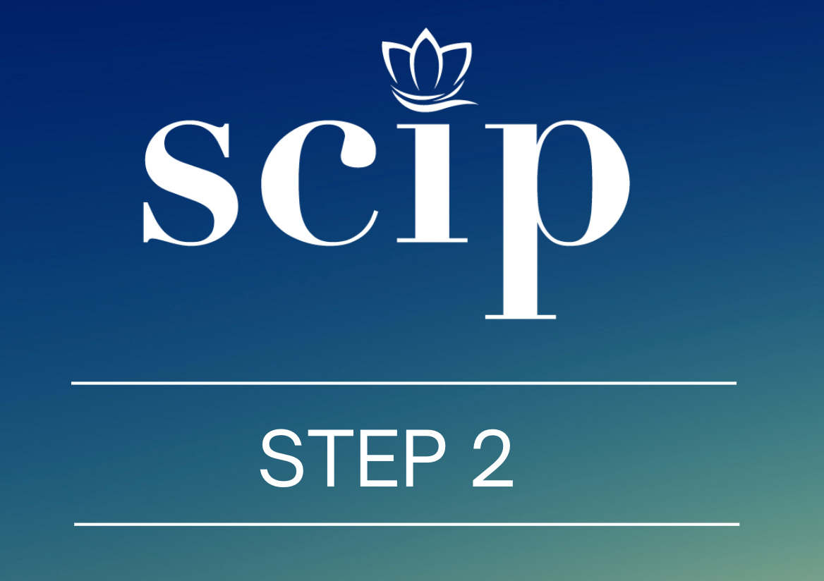 SCIP - Step 2 - Consultations, January 13th, Mondays 8:00 - 10:00 am PT