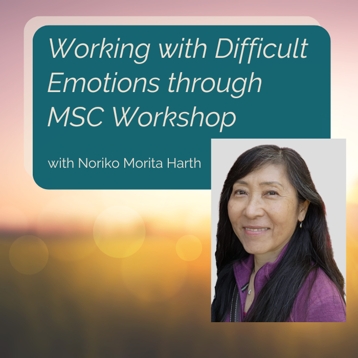 August 27th, Working with Difficult Emotions through MSC with Noriko Morita Harth