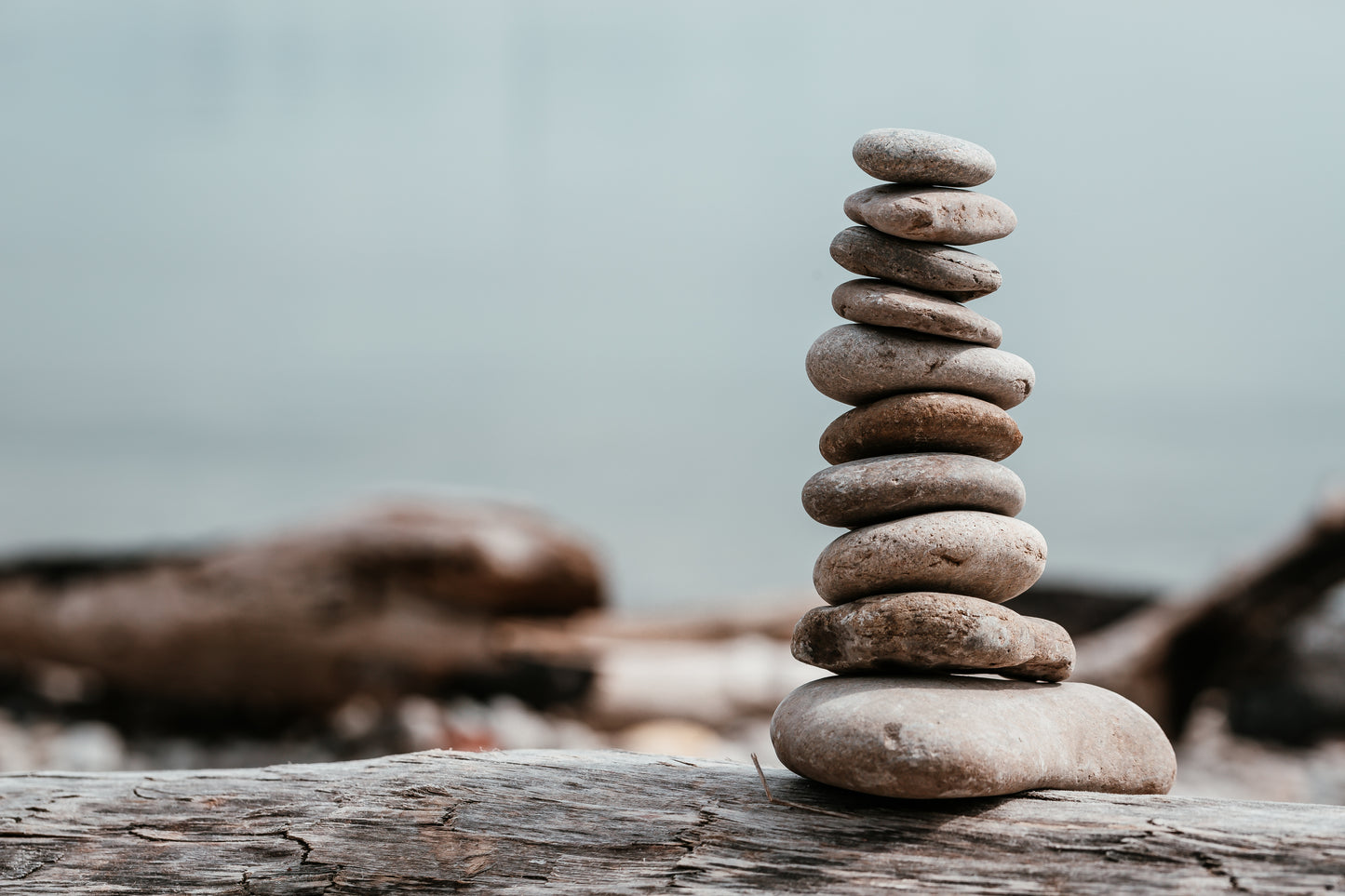 October 21, Wednesdays 9-11:30am PT, Self-Compassion for Shame 8 Week Course