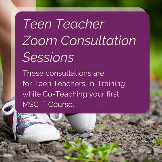 Teen Teacher Zoom Consultation Sessions